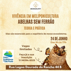 vivencia Abelhas sem Ferrao