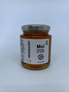 Mel Florada de Cafe 300g