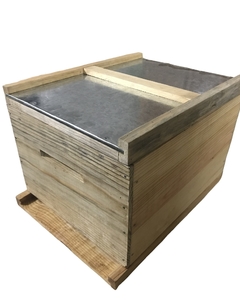 Caja Jumbo Completa