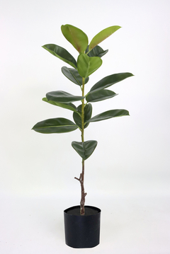 PLANTA ARTIFICIAL FICUS ROBUSTO COD 1113 SOLO VENTA MAYORISTA REPLICA EXACTA - comprar online