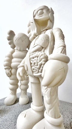 KAWS HALF en internet