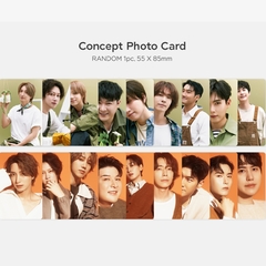 SUPER JUNIOR - RANDOM TRADING CARD - tienda en línea