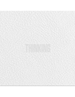 ZICO 1st Album - THINKING