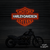 Neon Led Harley Davidson