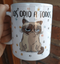 Taza Los odio a todos gato en internet