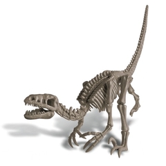 Kit de Escavação de Dinossauro - Velociraptor - Kidz Labs - 4M - comprar online