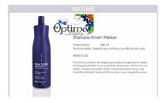 SHAMPOO MATISSE 480 ML. ANVEN