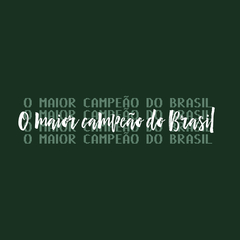 Camiseta Toco Y Me Voy Verdão Maior Campeão Do Brasil na internet