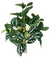 PLANTA TRADESCANTIA 39CM P