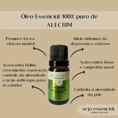 Óleo Essencial de Alecrim 10 mL - comprar online