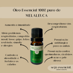 Óleo Essencial de Melaleuca 10 mL - comprar online