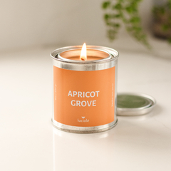 APRICOT GROVE