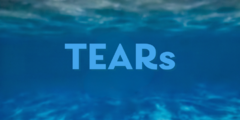 Banner da categoria TEARs