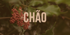 Banner da categoria Chão