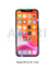 Modulo iPhone XS