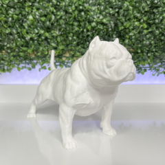 American Bully Adorno Decorativo Impressão 3D Roaz Creative