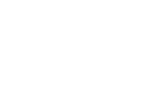 Fikah Shoes