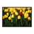 Quadro Campo De Tulipa Amarela E Tulipa Destaque FLOT006