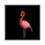 Quadro Decorativo Flamingo Fundo Preto Quadrado ANIF046