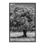 Quadro Decorativo Mosaico Árvore Em Natureza Preto E Branco Conjunto Com 3 Peças MOS059060061 na internet