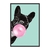Quadro Decorativo Pet Cachorro Com Chiclete ANIP014