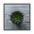 Quadro Decorativo Suculenta Verde Em Vaso FLOS025