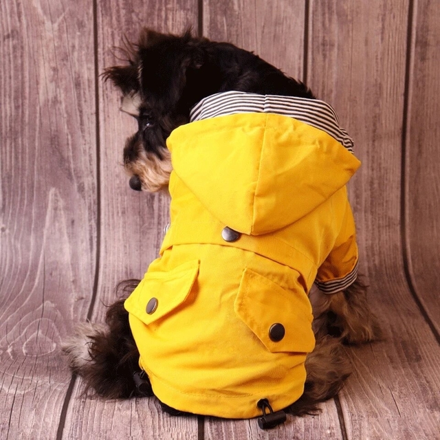 Chubasquero amarillo impermeable amarillo para mascotas, impermeable, con  capucha para perro, chaqueta impermeable ligera para Corgi Tidy Small Dog