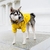 Impermeable Chubasquero para Mascota Perro - luckyone.mx | Lucky One | Ropa y Accesorios para Mascota