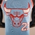 CAMISA CHICAGO BULLS - 22/23 - comprar online