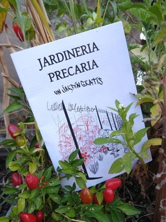 FANZINE JP 4 - UN JARDÍN GRÁTIS