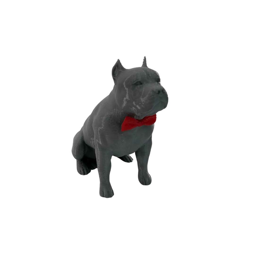 Loja virtual pitbull hotsell