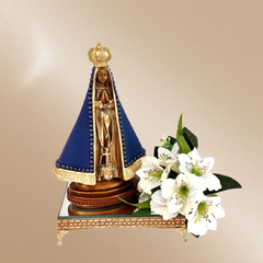 Nossa Senhora Aparecida-Tradicional - comprar online