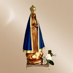 Nossa Senhora Aparecida-Tradicional - loja online