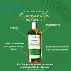 Shampoo Extractos Naturales con Bergamota, Cola de Caballo y Romero 500 mL - comprar en línea