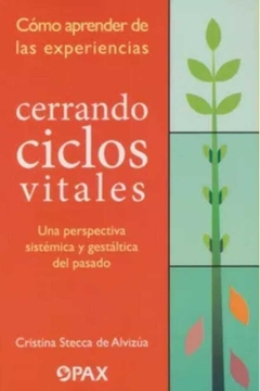 Como Aprender de las Experiencias Cerrando Ciclos Cristina Stecca De Alvizua · Editorial Terracota