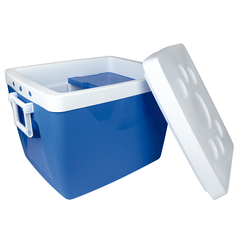 CONSERVADORA ICE COLD 75 lts. CON ASAS MOR - comprar online