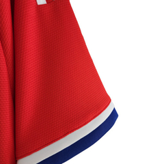 Camisa Seleção Chile I 2022/23 Torcedor Adidas Masculino - Vermelha - loja online