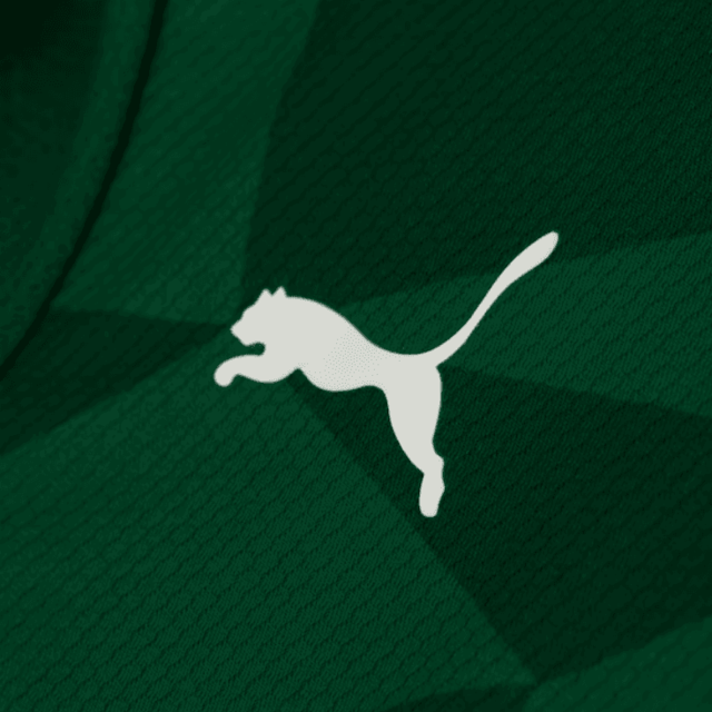 Camisa Palmeiras I 23/24 Torcedor Puma Masculina - Verde