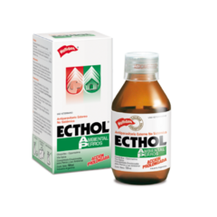 ECTHOL AMBIENTAL X 100 ML