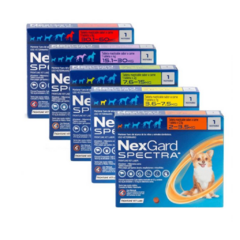 NEXGARD SPECTRA