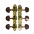 Tarraxa Ronsani para Violão Classico RVC-20DT Dourada/Tortoise