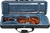 Violino Eagle 4/4 VE441 na internet