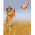 Clicker Adestramento Treinamento de Cães Click-R Petsafe na internet