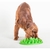 Comedouro Lento Para Cães Green Interactive Feeder Company of Animals