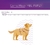 Guia Action + Peitoral 8 Cães Pet com Chip identificação Nfc e Qr Code Tamanho Médio - Bicho no Telhado