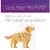 Guia Action + Peitoral Premium Anti-Puxão Cães Pet com Chip identificação Nfc e Qr Code Tamanho Grande - Bicho no Telhado