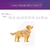 Guia Action + Peitoral H Cães Pet com Chip identificação Nfc e Qr Code Tamanho Extra Pequeno - Bicho no Telhado