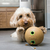 Brinquedo Cães Libera Petisco Kong Bamboo Feeder Ball Medium Médio na internet