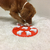Brinquedo Tabuleiro Para Cães Nina Ottosson Dog Smart Plastic Nivel 1 - loja online