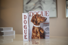 Caixa Livro Dogue (G) na internet